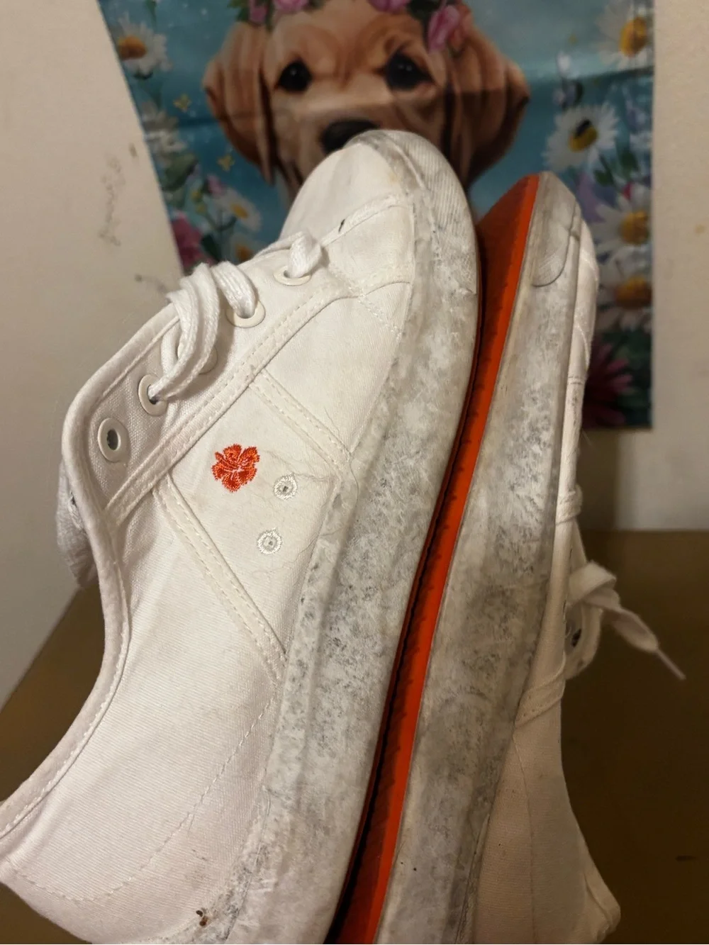 Tommy Bahama White Canvas Lace-Up Sneakers with Floral Lining